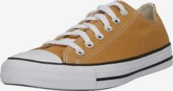 Converse Skate Sneakers Sneakers Laag Chuck Taylor All Star Dames Honing