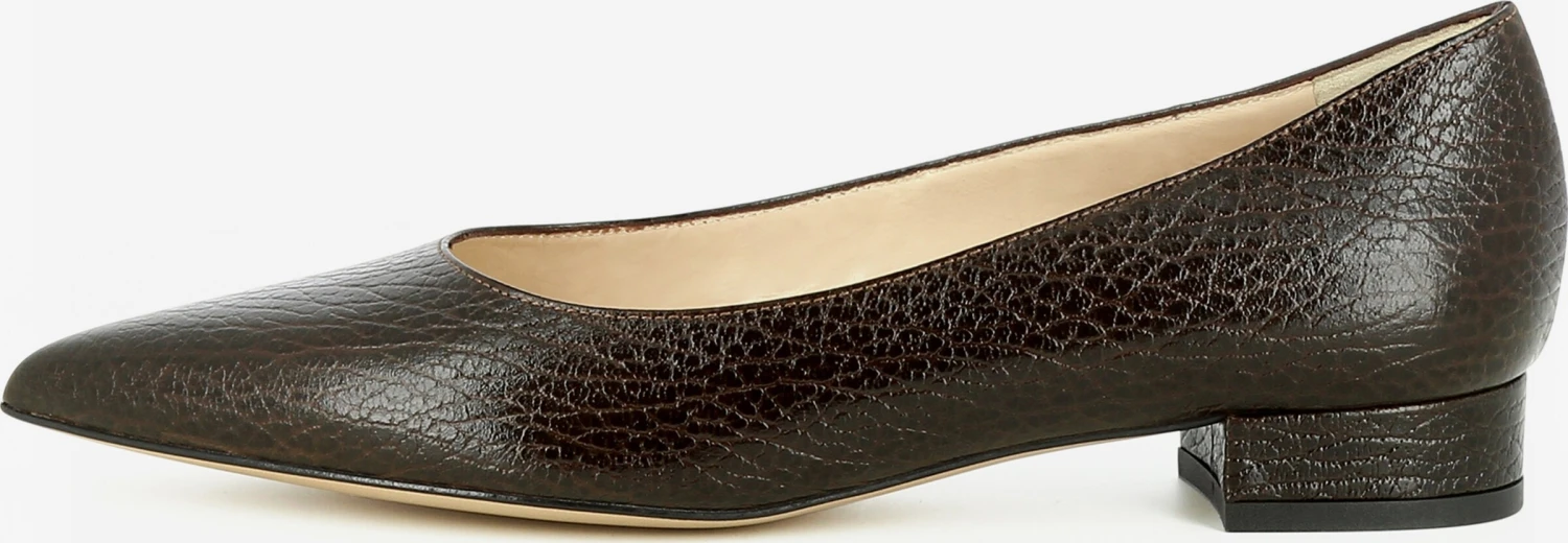 Pumps & Hakken Pumps FRANCA Dames Bruin 4 Pumps & Hakken Pumps FRANCA Dames Bruin - Afbeelding 2