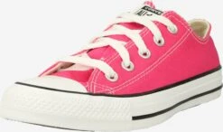 Converse Skate Sneakers Sneakers Laag SEASONAL Dames Pink