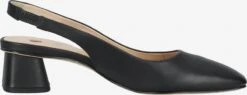 HÖGL Pumps & Hakken Slingpumps Kat Dames Zwart 12 HÖGL Pumps & Hakken Slingpumps Kat Dames Zwart -Damesschoenen Winkel 5ed48f19076d508488f282753ebbfb02