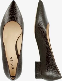 Pumps & Hakken Pumps FRANCA Dames Bruin 15 Pumps & Hakken Pumps FRANCA Dames Bruin -Damesschoenen Winkel 7c7d28643db9001df28175b7fd846753