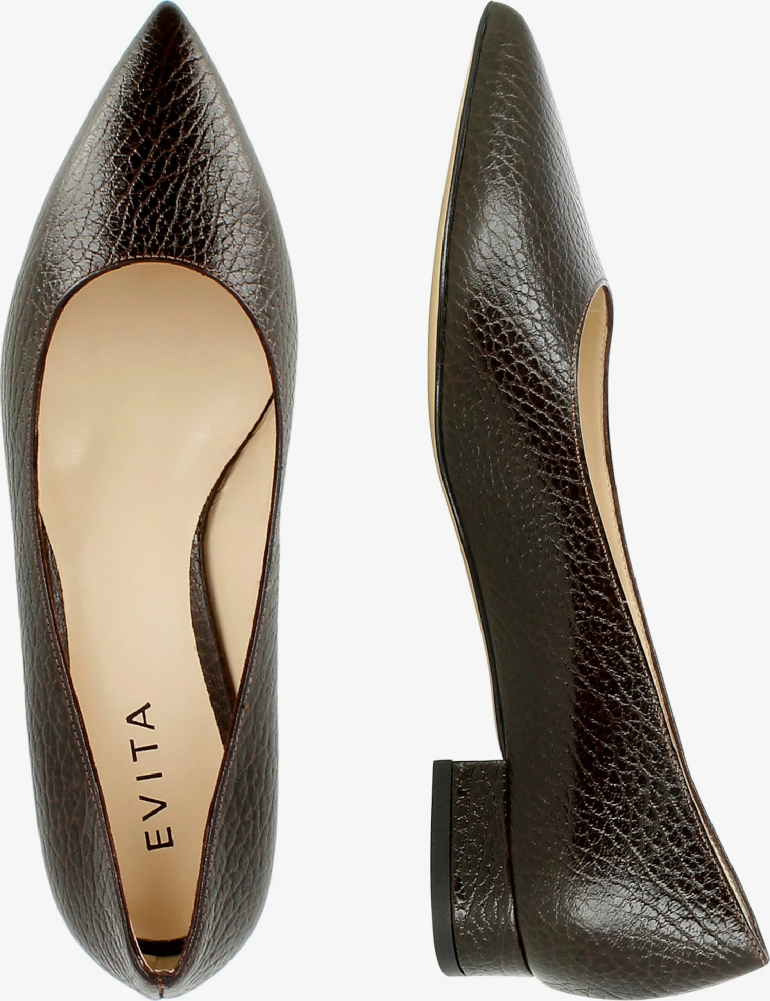 Pumps & Hakken Pumps FRANCA Dames Bruin 9 Pumps & Hakken Pumps FRANCA Dames Bruin - Afbeelding 7