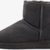 Laarzen Boots Acacia Dames Grijs