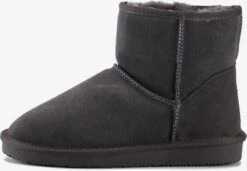 Laarzen Boots Acacia Dames Grijs