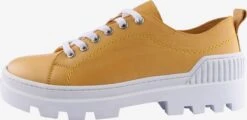 Fashion Sneakers Sneakers Laag Zerofour Dames Geel -Damesschoenen Winkel 9b0f9bf56a1e983380a19963f18cb32c