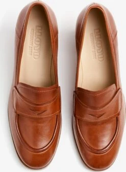 Lloyd Klassieke Pumps Pumps Dames Bruin -Damesschoenen Winkel a361e6a6d710f9f6a888fa5fdb88518f