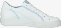 Paul Green Casual Sneakers Sneakers Laag Dames Wit -Damesschoenen Winkel a4e63eb04e4d3d9f26286c503657779e