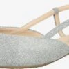 PETER KAISER Pumps & Hakken Slingpumps Dames Zilver