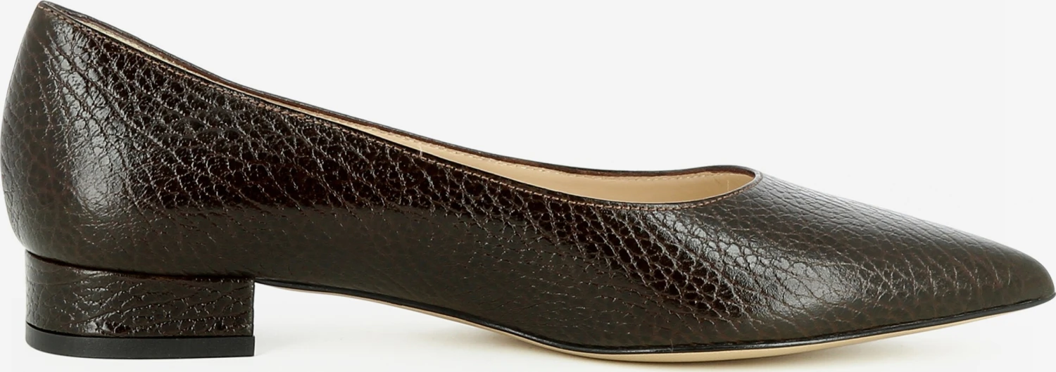 Pumps & Hakken Pumps FRANCA Dames Bruin 6 Pumps & Hakken Pumps FRANCA Dames Bruin - Afbeelding 4