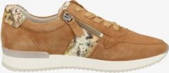 Gabor Fashion Sneakers Sneakers Laag Dames Bruin -Damesschoenen Winkel f75491da321e7abbf3e25c7c8eb697c2